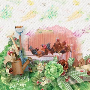 Spring-Chickens