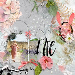 New spring, new life