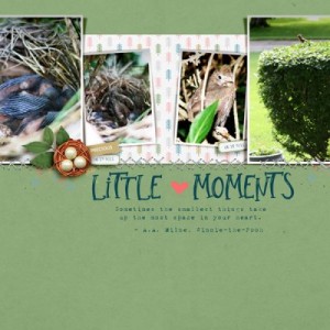 Little Moments