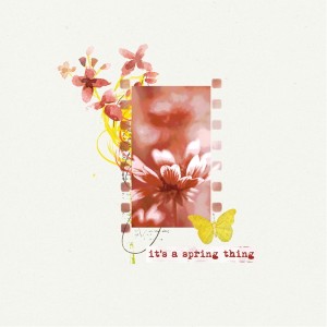 Photography Challenge-Minimalist Photo Focus-Red-y For Spring