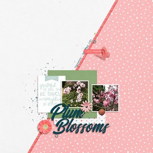 More Plum Blossoms