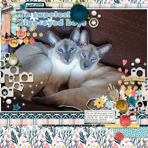 SweetestBoys