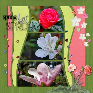 MIS 4-6-2019_springhassprung