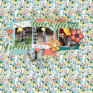 InTheBackYard042019SWLTC