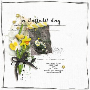 a daffodil day