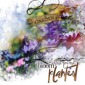 Bloom where you are planted