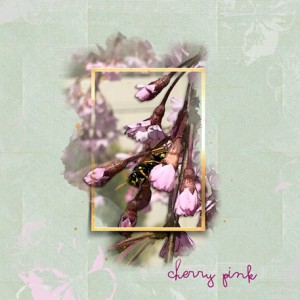 04-01-19_Rotoscoping_CherryBlossoms