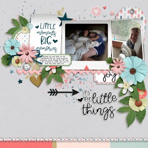 Little Moments Big Memories