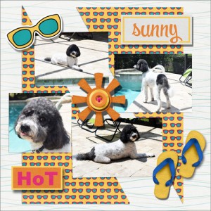 Sunny & Hot