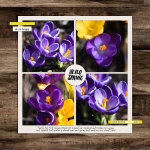 Hello spring