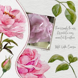 The Rose
