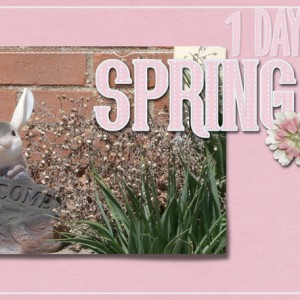 Spring-(6)