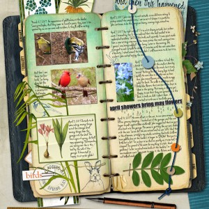 2019-04_April-TLP_Style_Notebook_web
