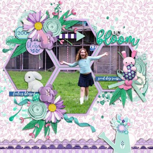 06InBloom