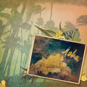 Threshold-Technique_Aloha