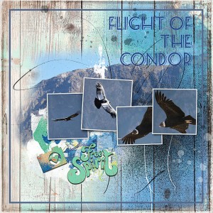 Flight of the Condor