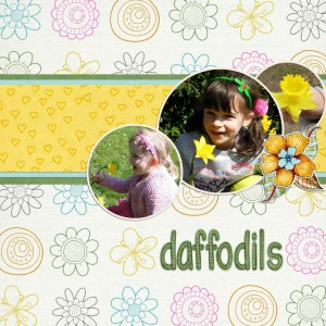 Daffodils