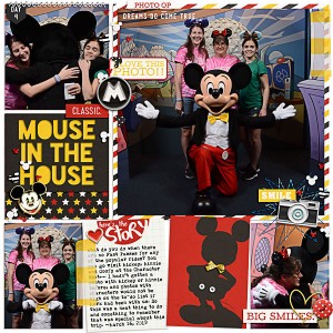 D4 - Mouse In the House