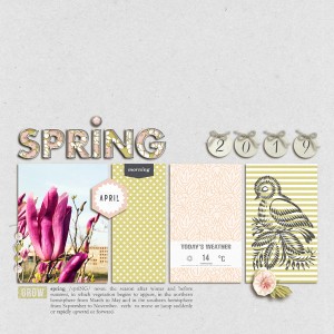 Spring 2019