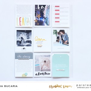 Paislee_aprilmonthly_projectbyLoredanaBucaria