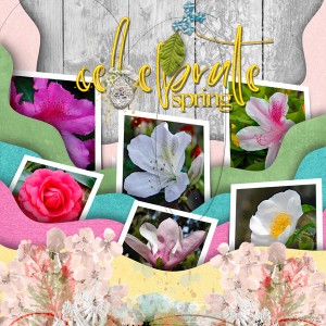 NBK4-15-28_celebratespring