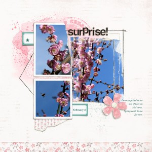 Surprise!