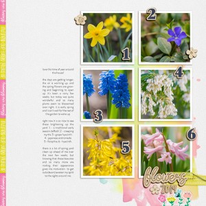 spring blooms