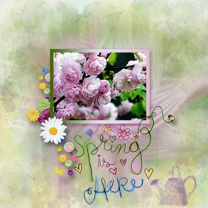 Spring-is-here