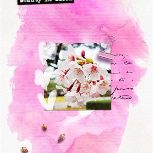 Beauty In Bloom