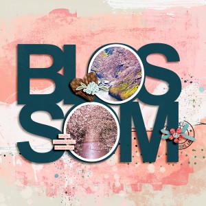 Blossom