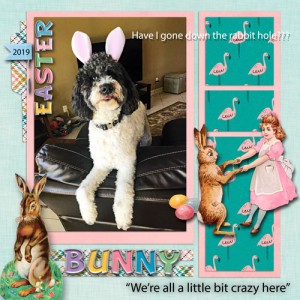 Daisy Easter Bunny