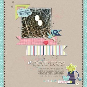Dove Eggs