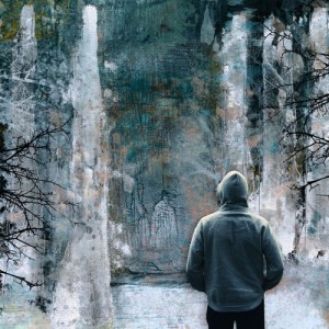 Birch Forest
