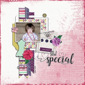 sew special