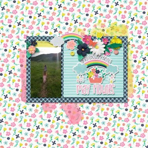 May Flowers