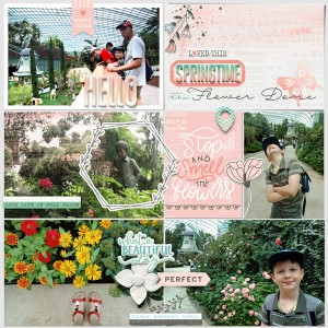 in the flower dome