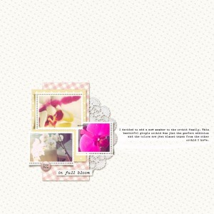 InFullBLoom