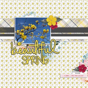 beautiful spring