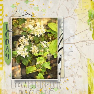 04-19_AppleBlossomBranch-Watercolor