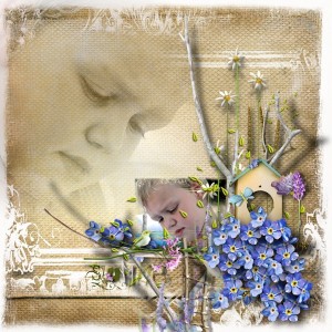 Blue meadow