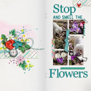 Stop And Smell The Flowers