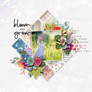 Bloom  &Grow