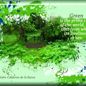 ATC-2019-055-Green