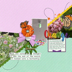 Metamorphosis