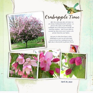 May2019_Photo Chall_web