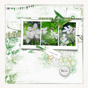 190426_clematis01