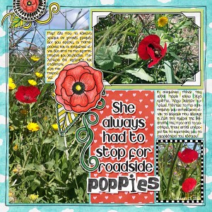 Poppies
