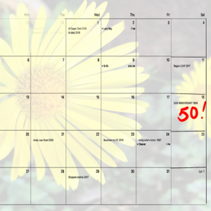CalendarSample