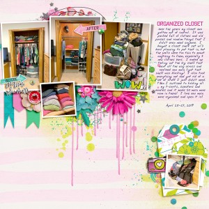 Reorganized Closet