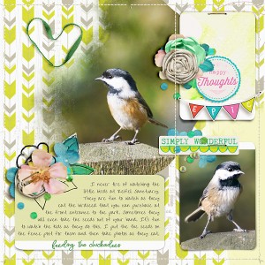 Feeding The Chickadees